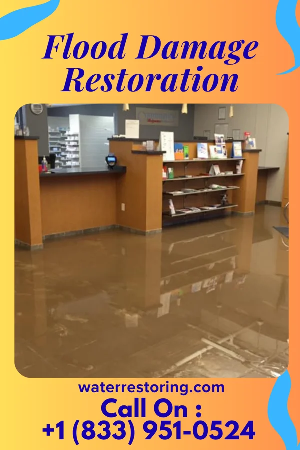 Flood Damage Restoration in Montfort, WI