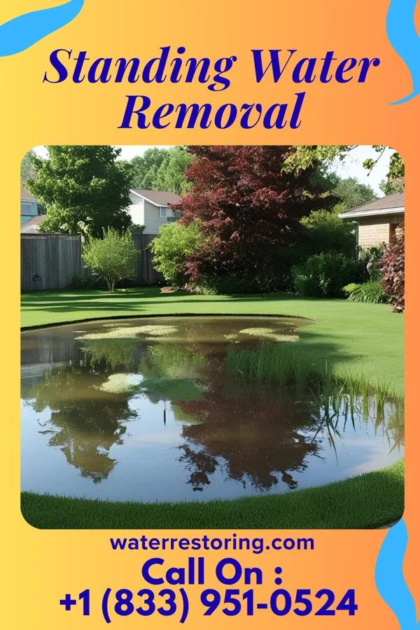 Standing Water Removal in Montfort, WI